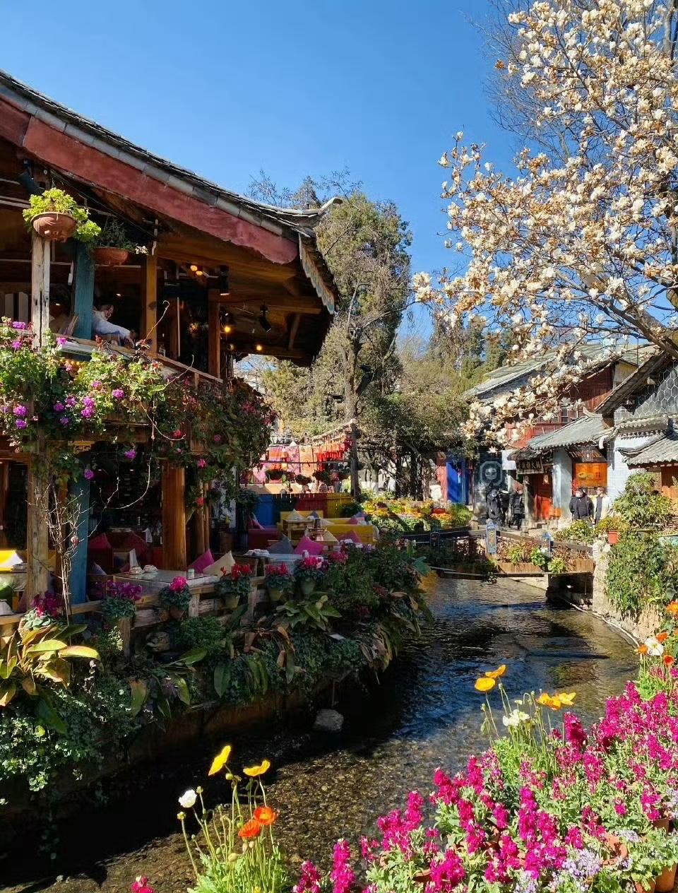 “  清溪绕屋花连天 …  ”