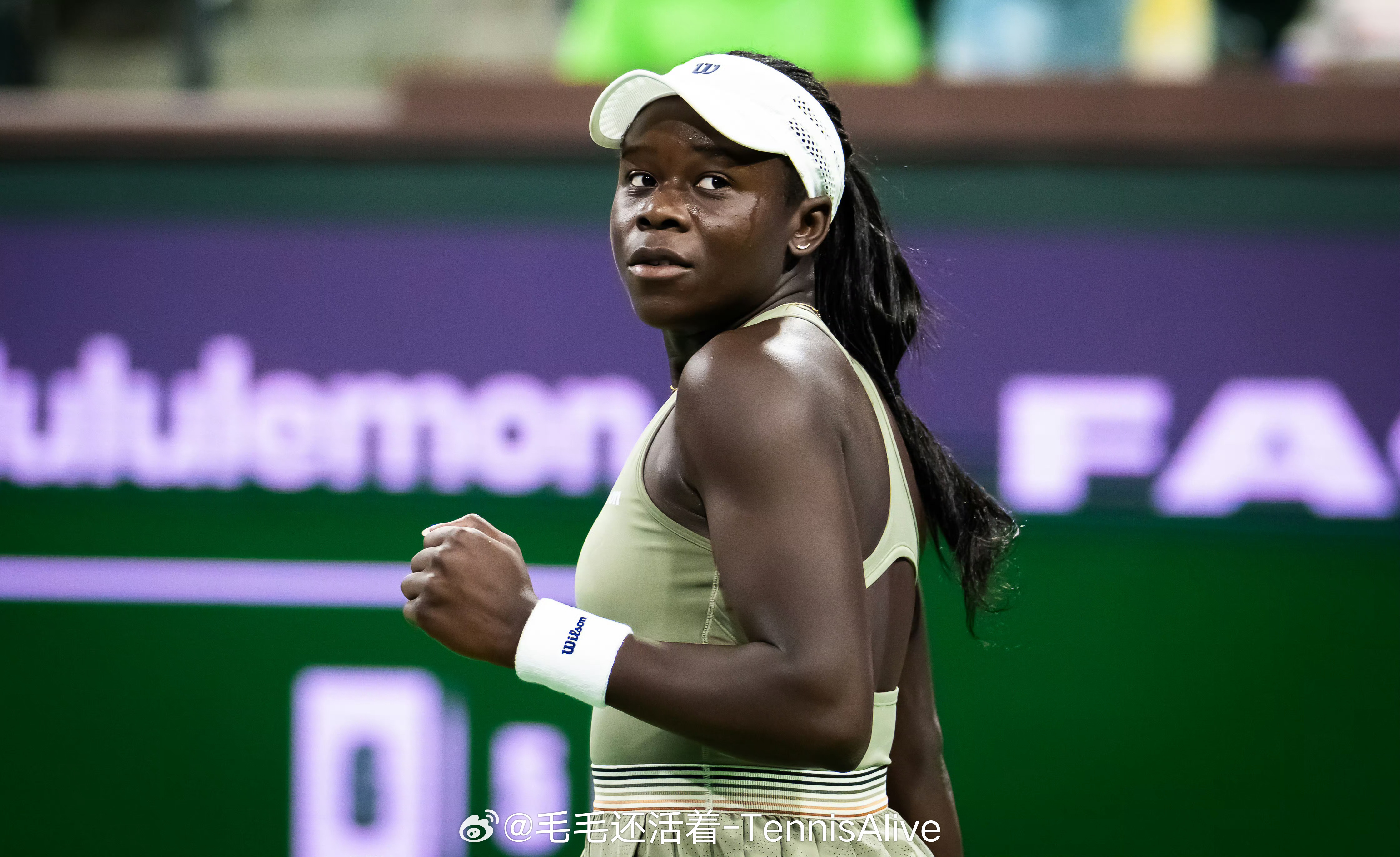 ✅2026赛季16胜4负✅第5胜世界前十✅1000赛战绩17胜5负 