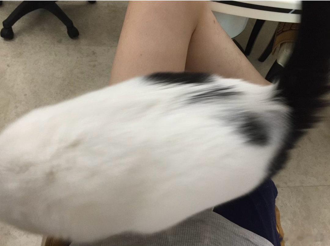 我的腿以前那么细 ​​​