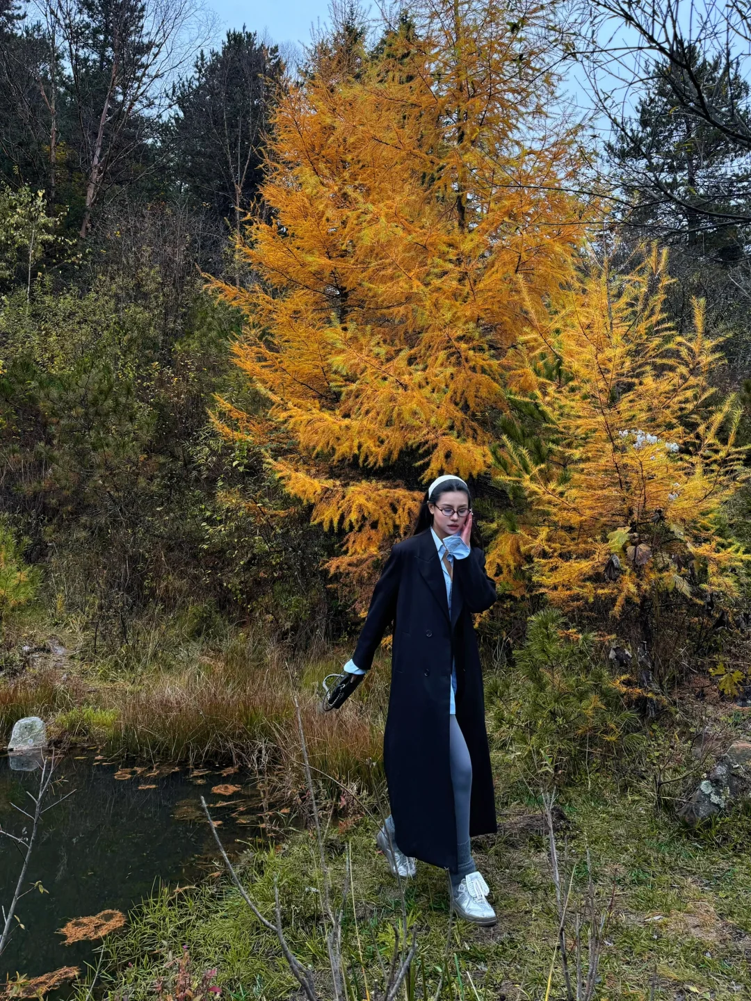 不是阿勒泰！真是西安周边的秋景🍂啊