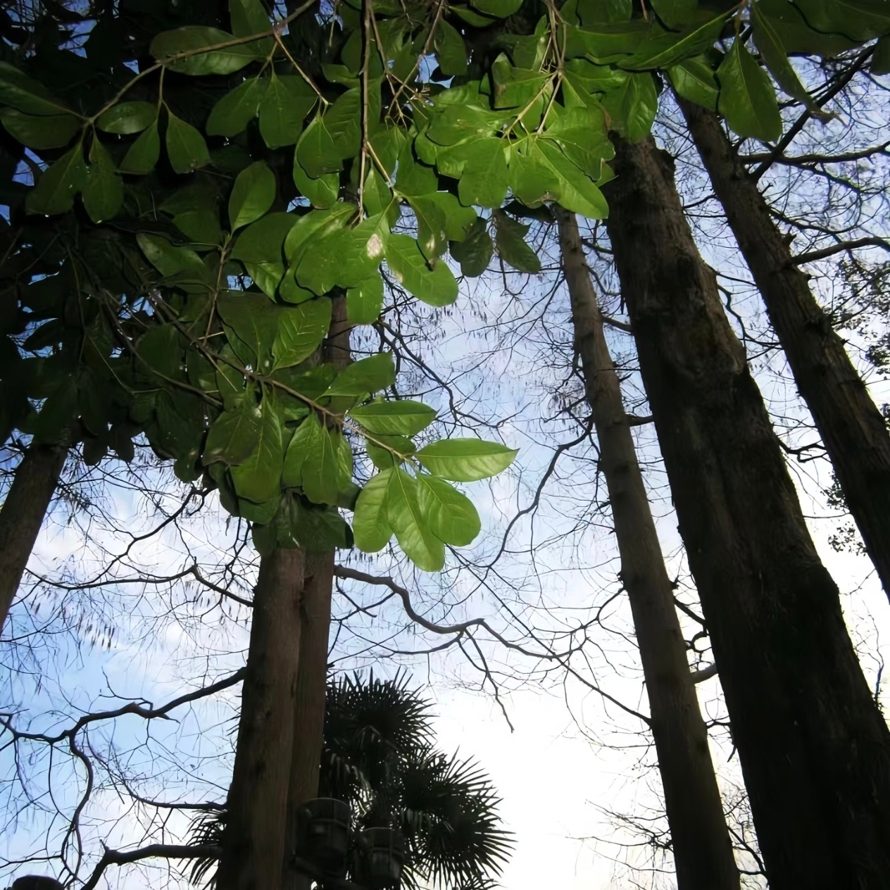 WeChat｜背景图分享｜治愈｜高清｜无水印 