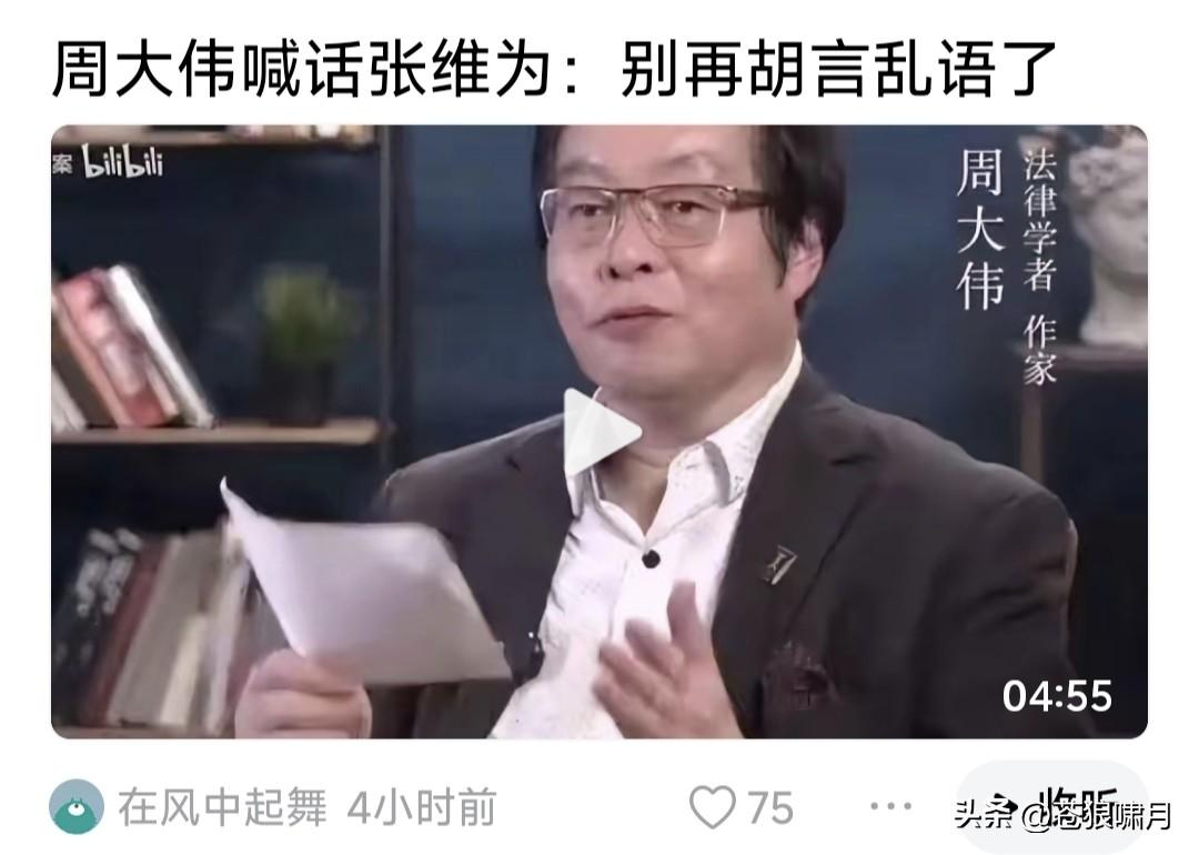 周大伟喊话张维为:请你别再胡言乱语，给经济发展添堵，给国家添乱了！

他说有一次