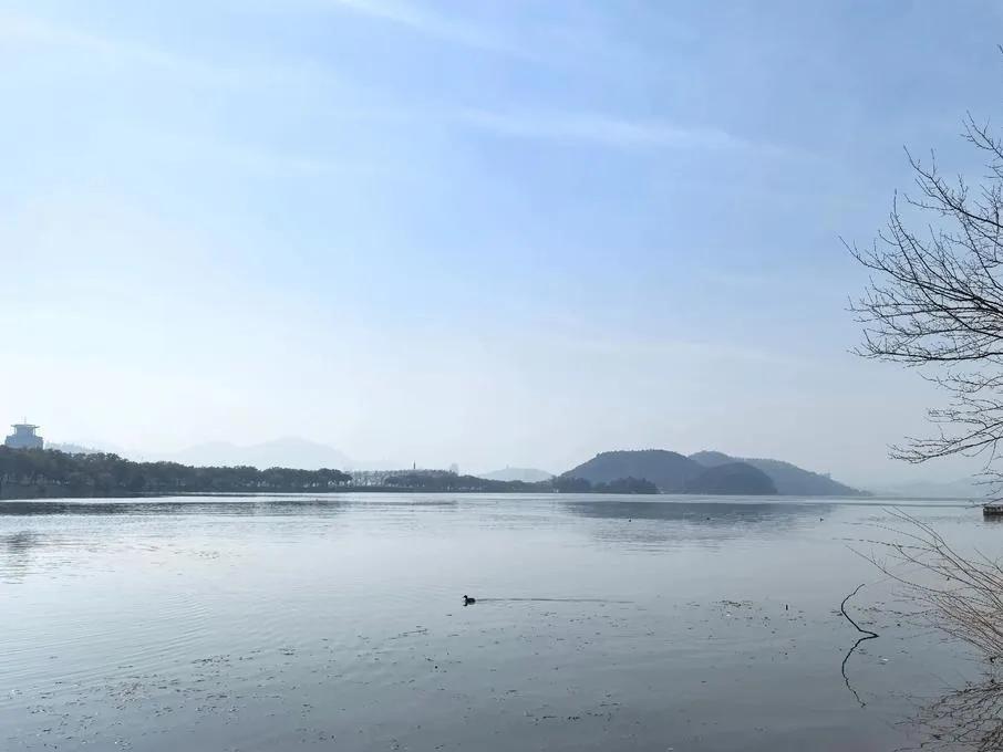 打卡夏日美照