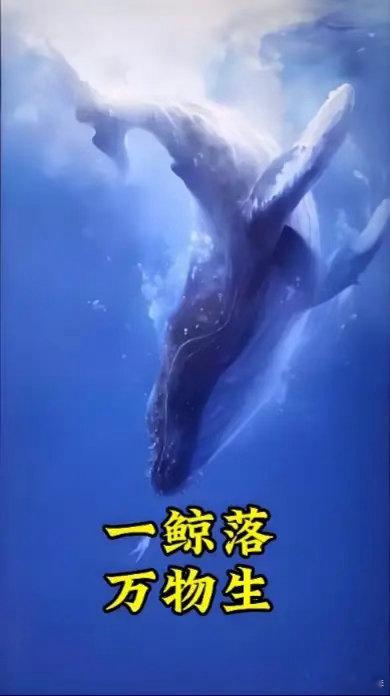 一鲸落，万物生大市值科技股筹码松动了资金流出到其他板块所以，沪指虽然跌了30.0