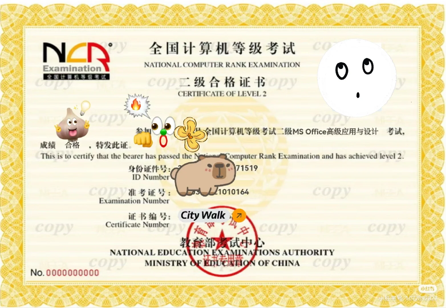 你必过二级❗️9月计算机二级考试查询