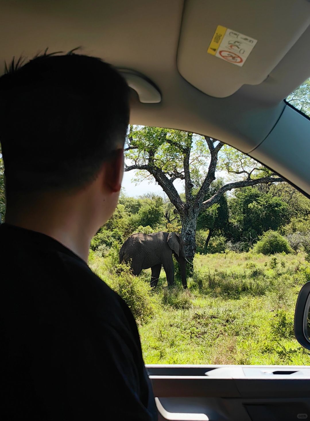 关于我只花了一千多去非洲看了三天野生动物