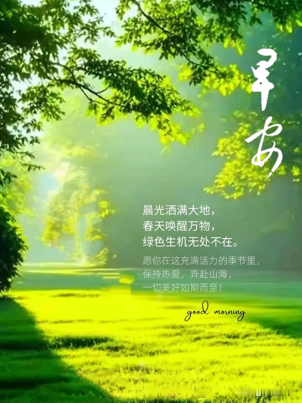 揣着一口袋的温柔和春光，奔赴热气腾腾的新生活。