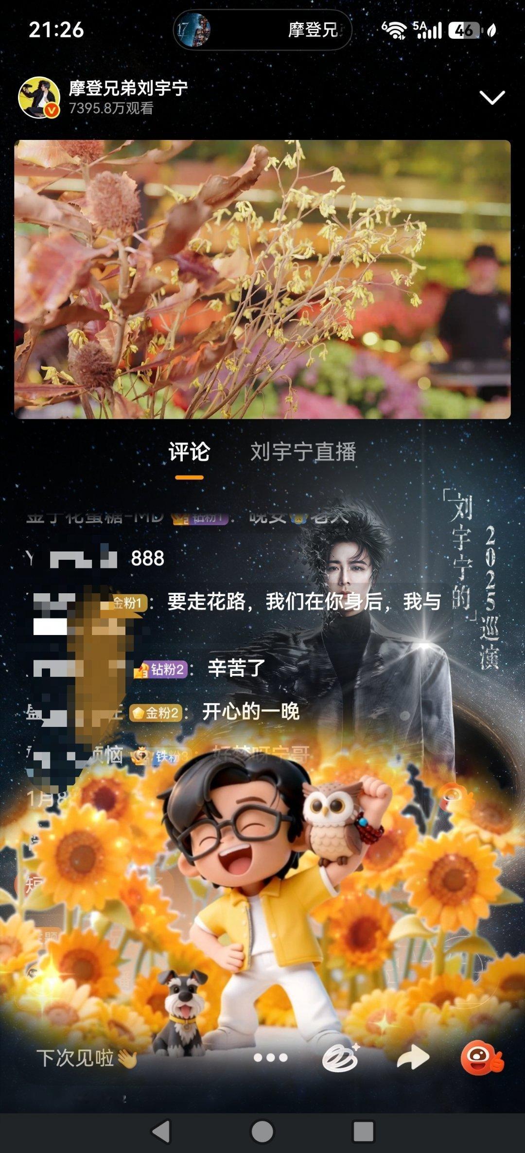 刘宇宁直播 晚安💤 