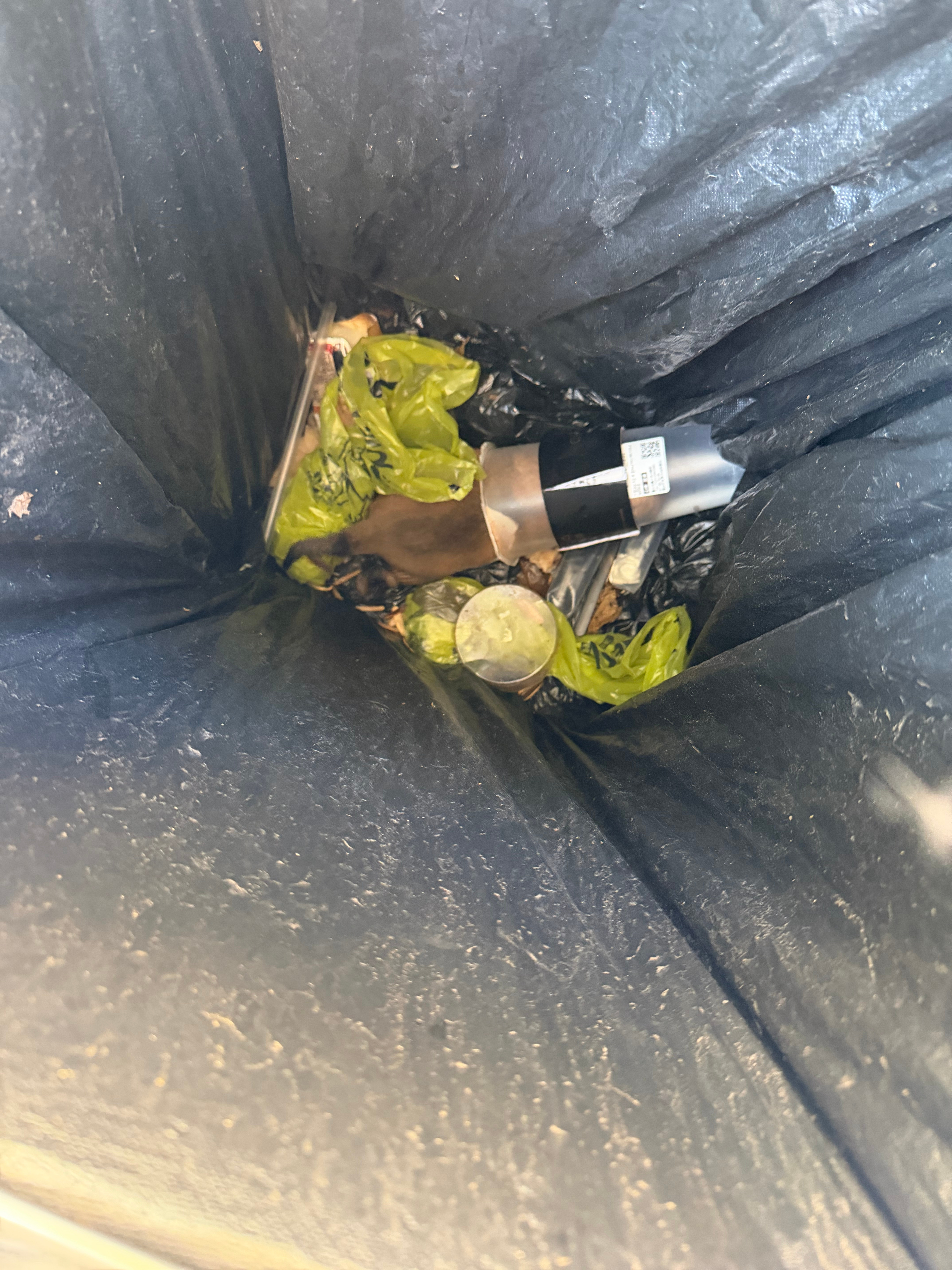 求收养🚨🚨💗💗😭发现地点：礼嘉中学附近的垃圾桶里小狗状态：已治疗，听力