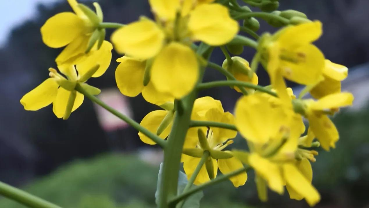 “所有人员罚款200元。”昨天下午打完下班卡，领导把所有员工召集起来，郑重其事地