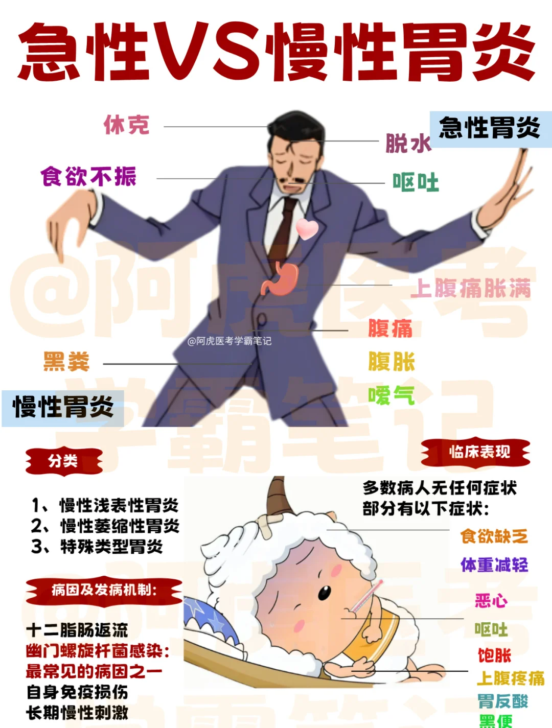 医学生学习笔记📒：急性VS慢性胃炎👆