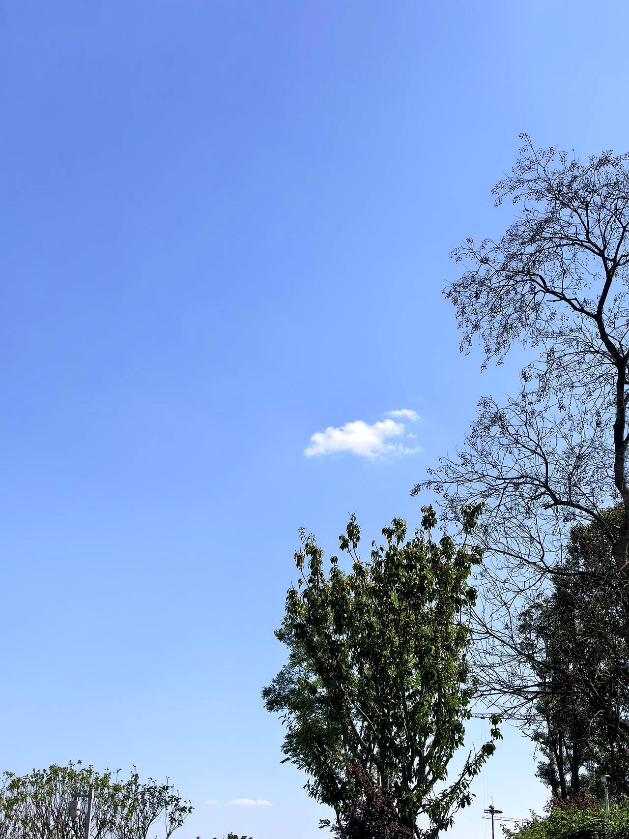春假一个陌生电话，上来就让我别挂！
对方自称是前任的前妻，劈头盖脸就说她孩子高二