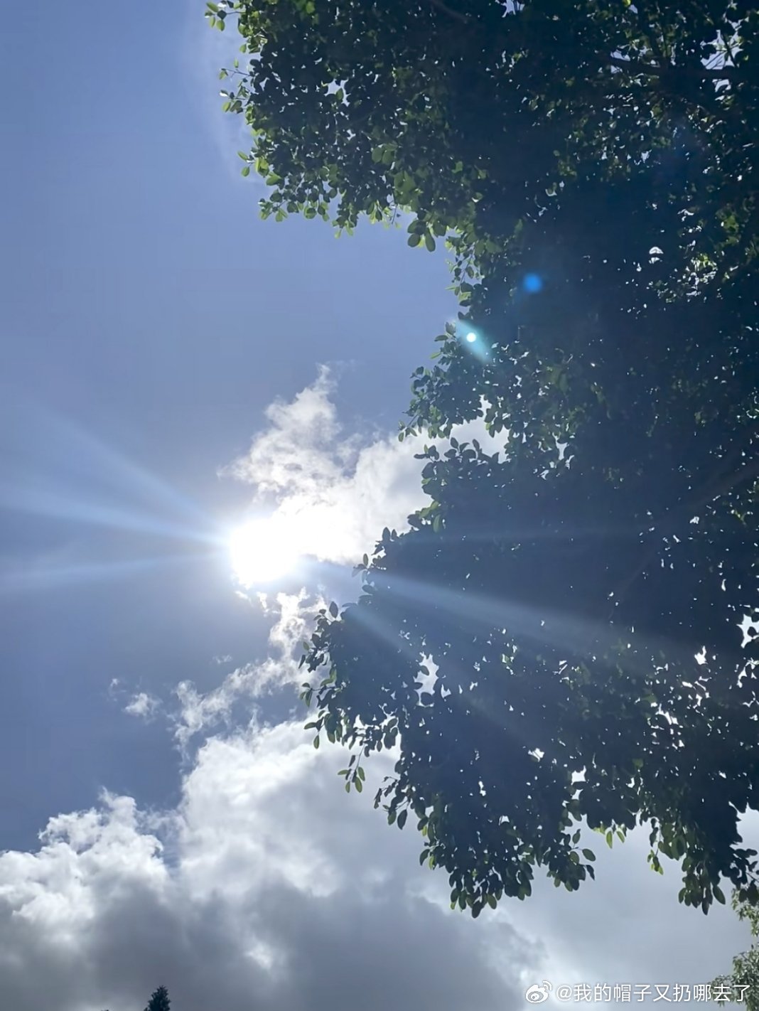 地球online怎么又要升温了全球气温稳步上升，燥热天气接踵而至，四季分界渐渐变