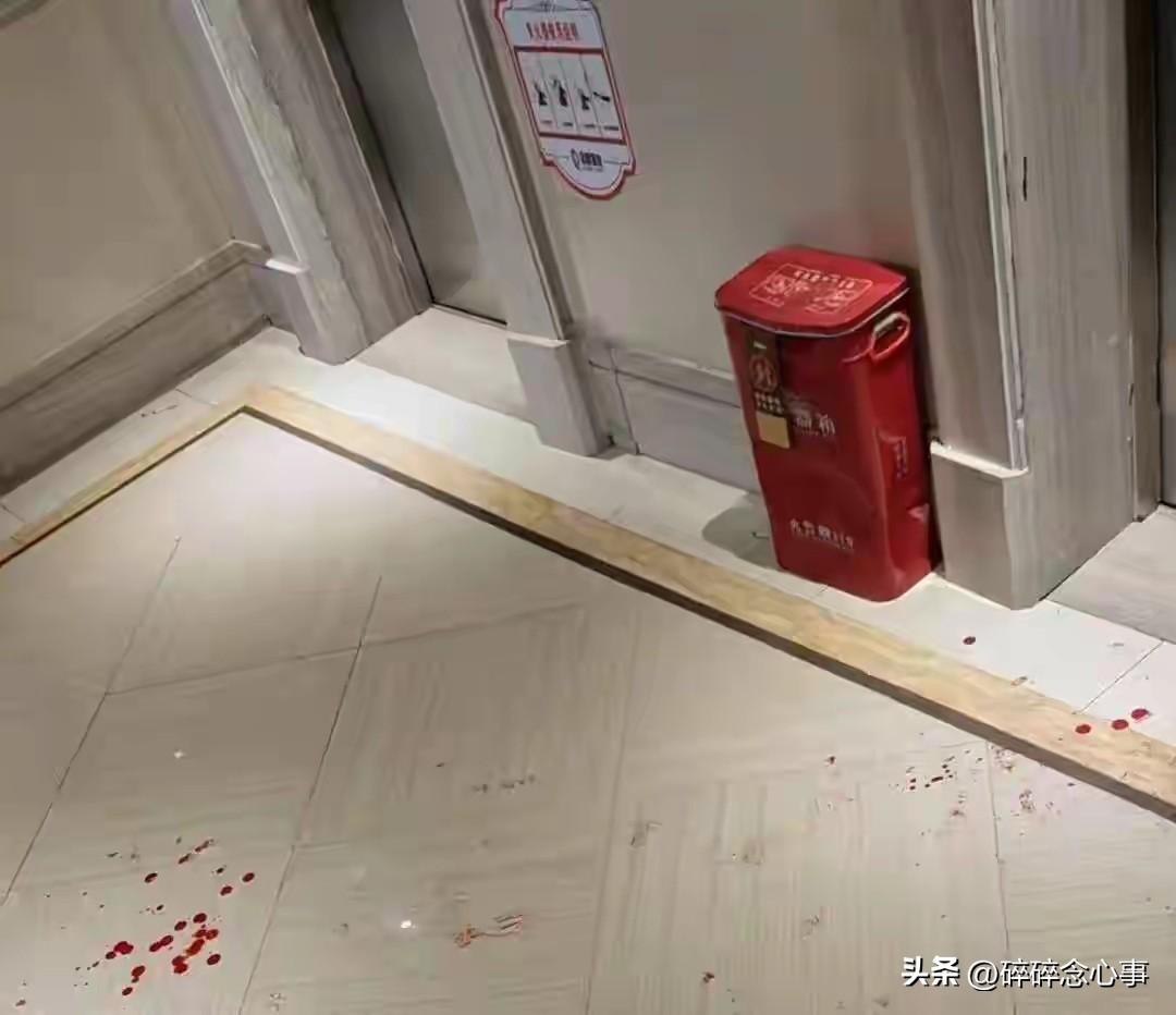 17岁男生被校友暴打后，竟有人冒充警察把他骗出来二次施暴——逼他下跪、喊爸爸，还