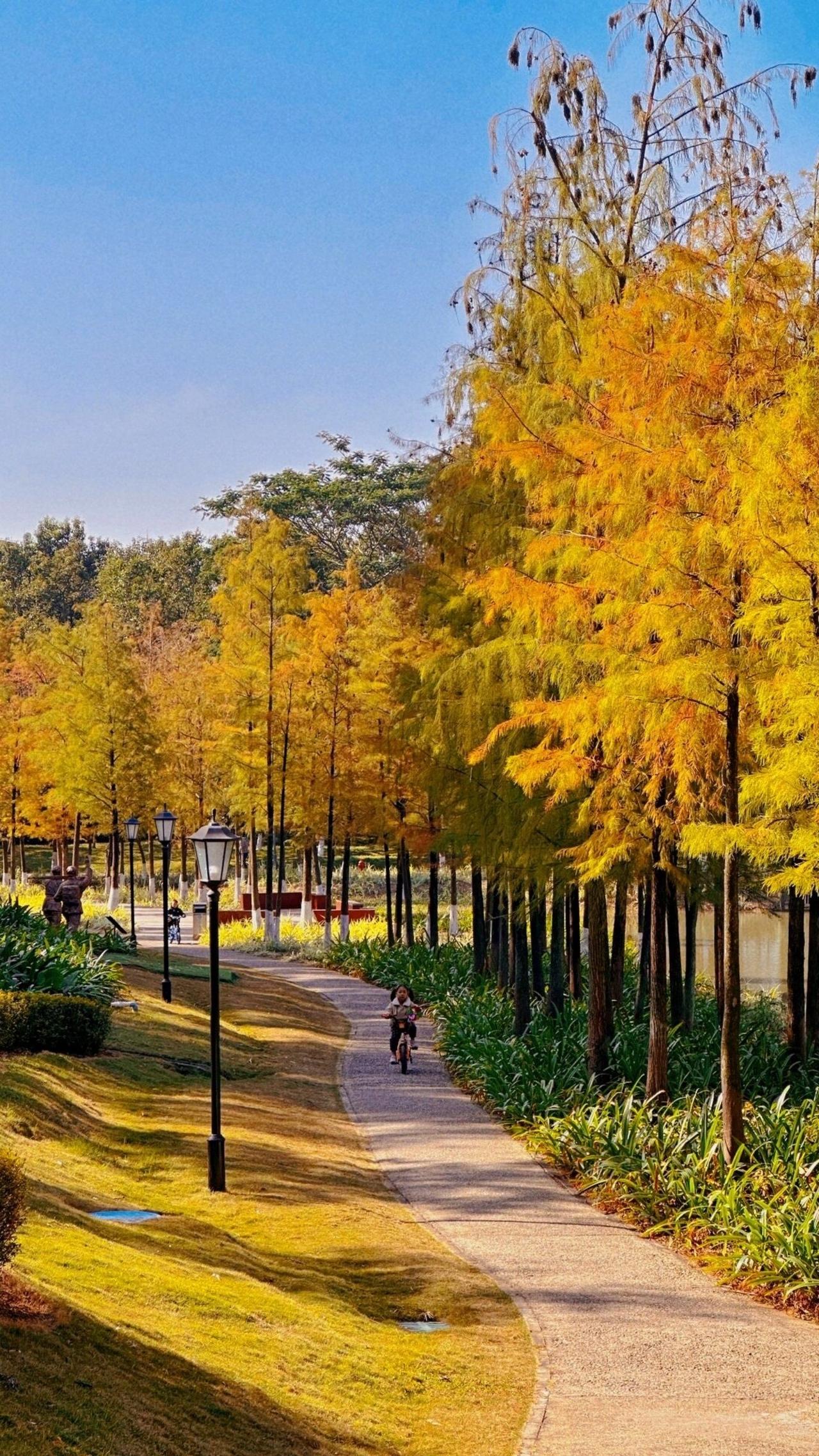 借得清辉写半生
又到了深夜写稿的时刻，对着空白的编辑页面犯愁，肚里没半点灵感，只