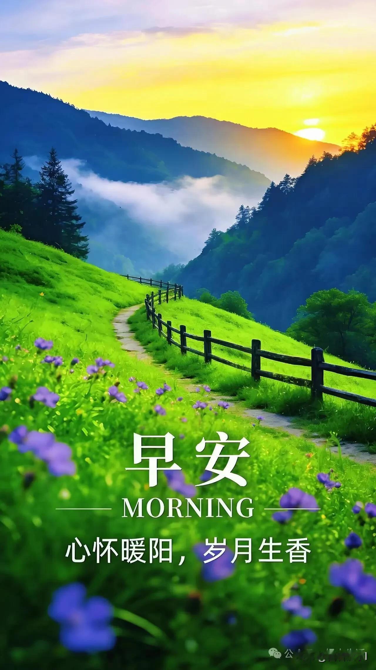 新晨新起点，抛开懈怠与犹豫，踏实努力，终会闪闪发光。