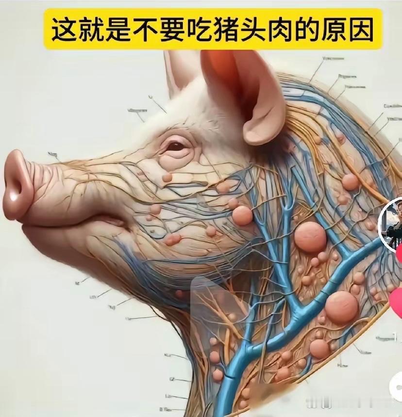 哎，可惜了，看了这张图你还敢吃猪头肉吗？ 