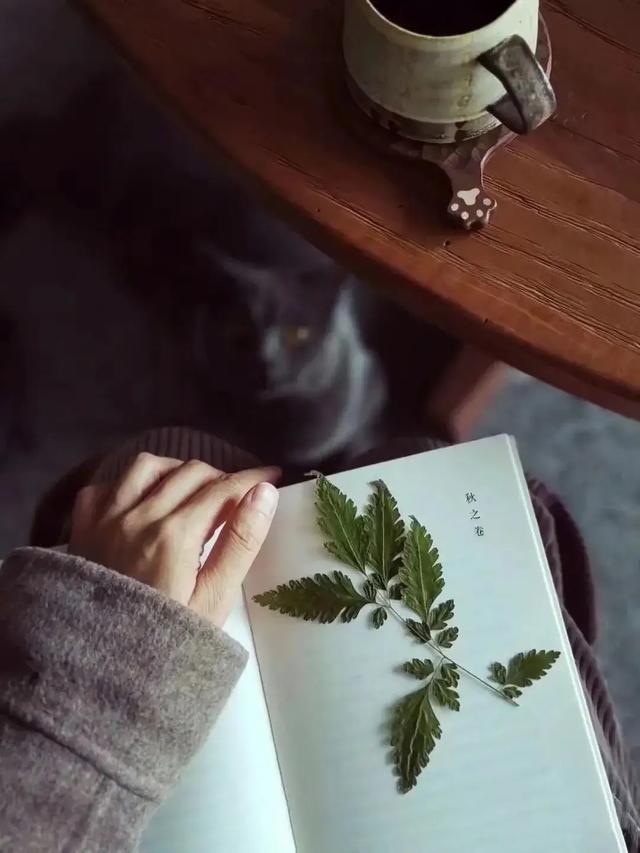 [太阳]现代诗：《未拆封的重量》
原创/首发


出生时攥着空拳，像攥着张空白账