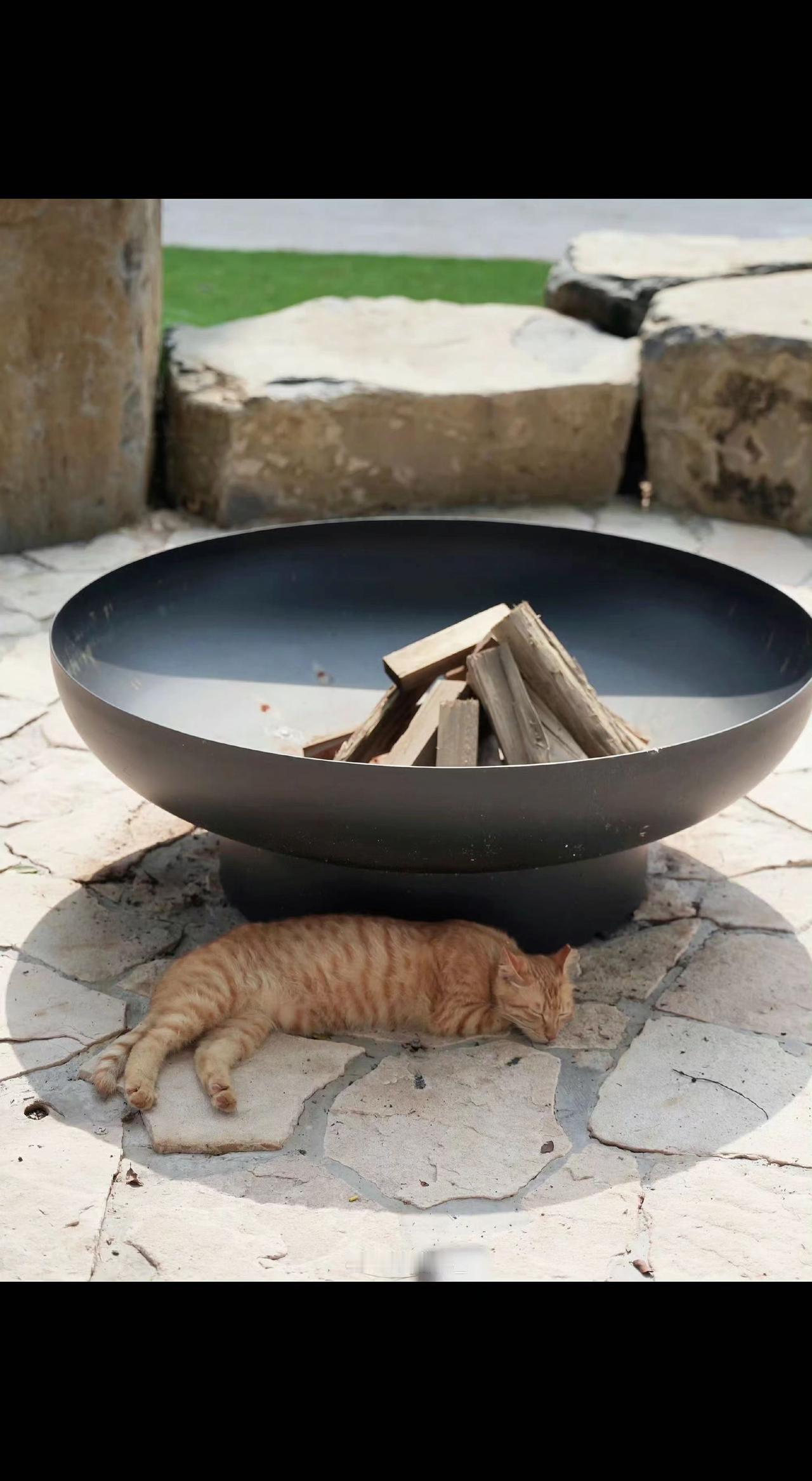 🔥石窝藏暖木，橘猫蜷成阳光的逗号😼。静止的火焰，是慵懒写给午后的诗📖。