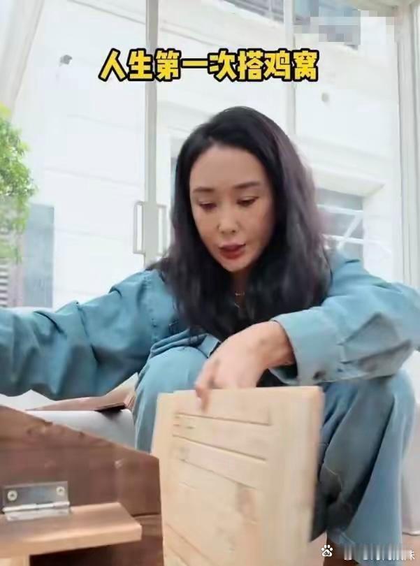 霍思燕和杜若溪都展现了现代女性的精致生活。霍思燕带着狗狗去做美甲，体现了她对生活