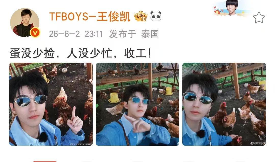 王俊凯蛋没少捡人没少忙王俊凯和小鸡合照 小凯晒出和小鸡们的合照 