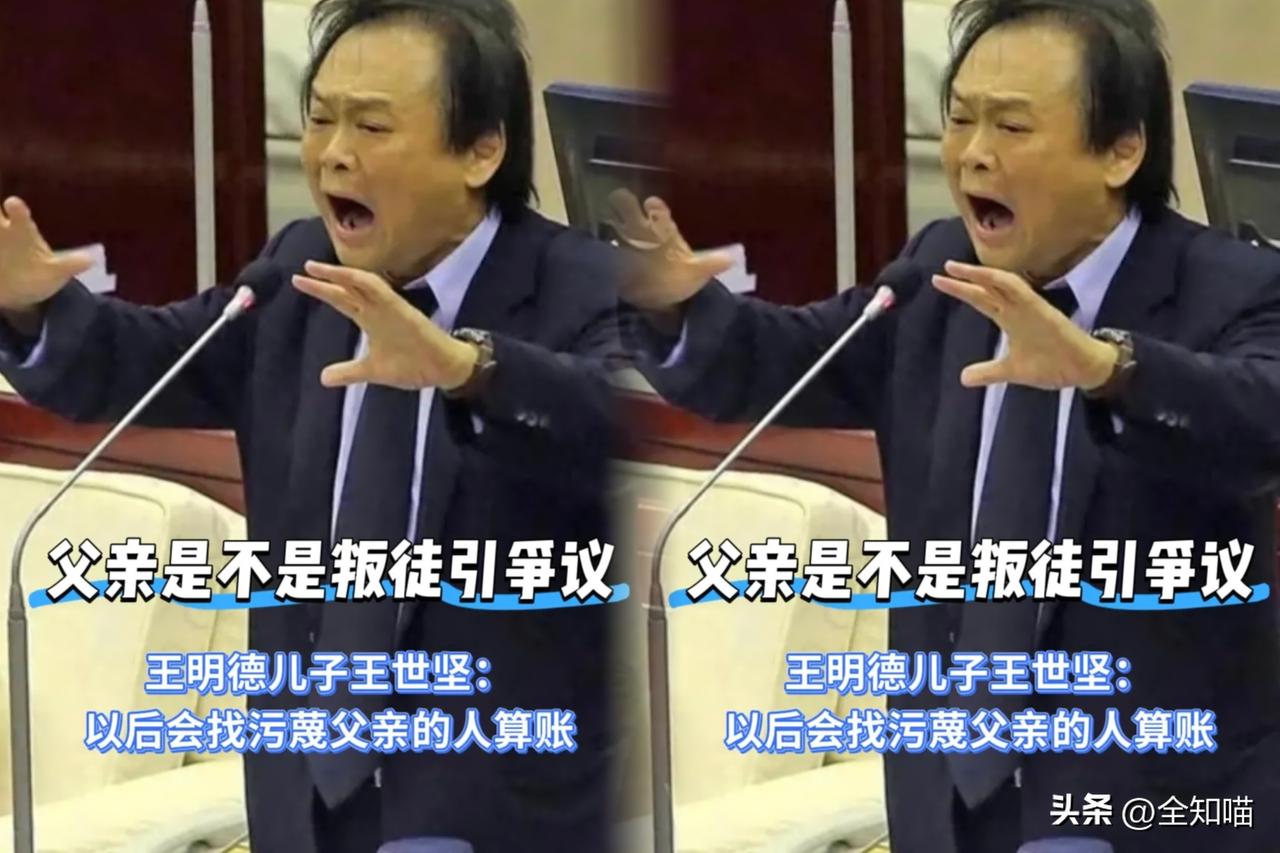 《沉默的荣耀》传到台湾后，

民进党大佬王世坚挺不住了，

因为他尴尬了，他是叛