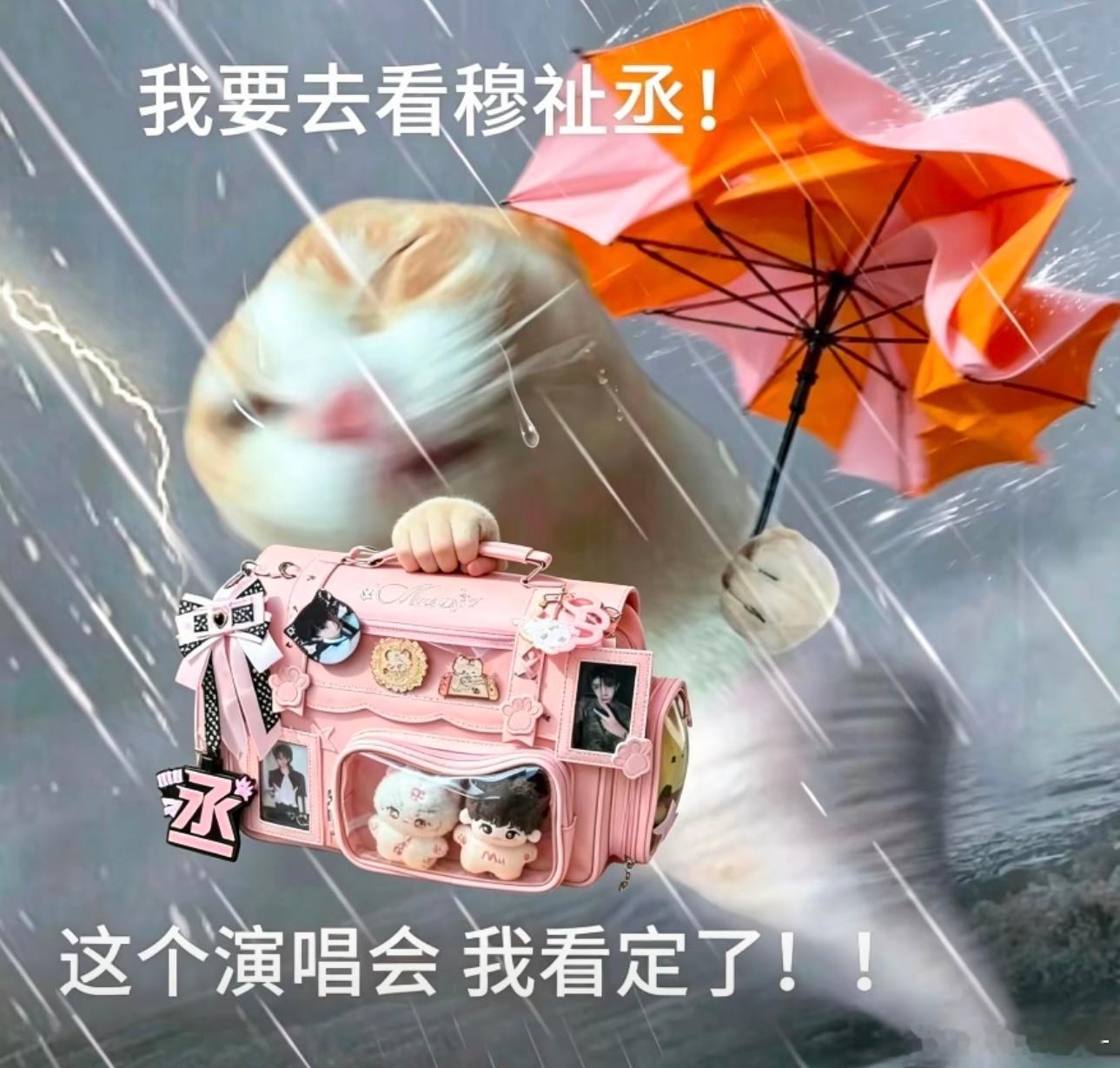 谁的缩影？ 