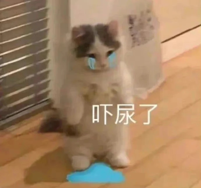 一个天天住rs的人，从昨天yxh落网的新闻一出来，就一个都看不到了，细思鼻孔