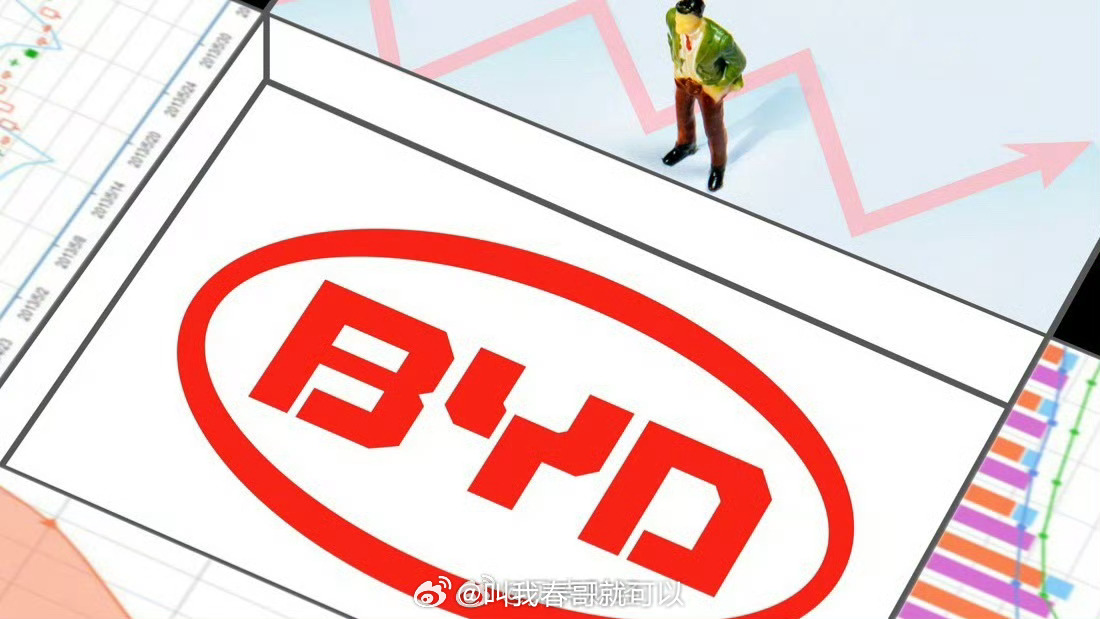 比亚迪加快洽谈进军F1迪子出息了！期待中国车企在F1上大放异彩！ 