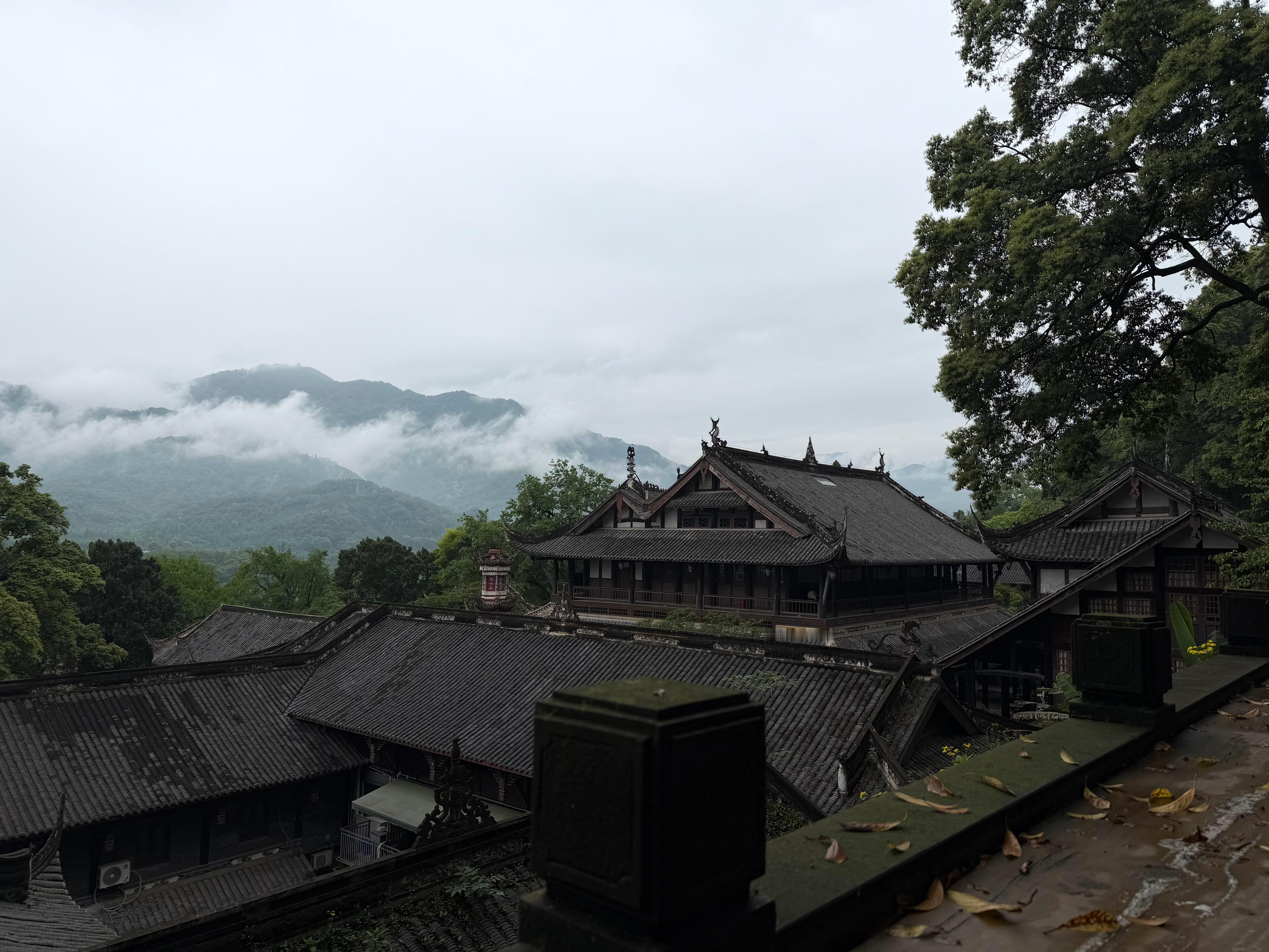 早啊兄弟们！距离五一假期还有5天大家早饭一般都吃点啥？ 