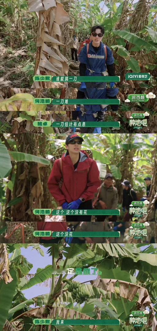 陈少熙一刀封神完全自带天生的农活天赋，第一次接触砍香蕉就精准拿捏发力技巧，力度分