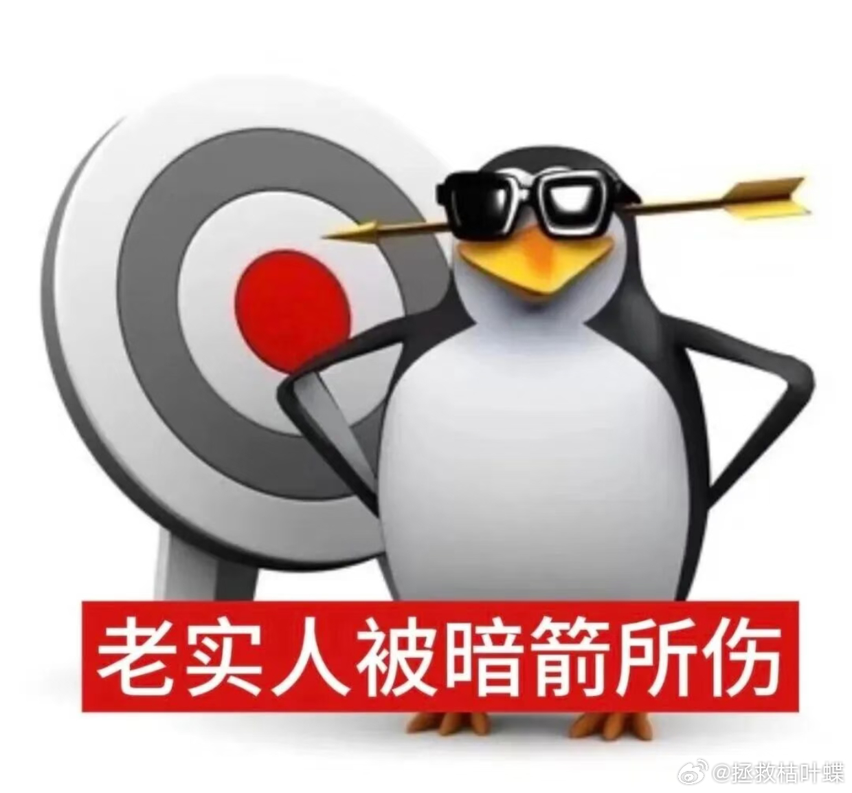 邓佳鑫天天拿真心喂狗。 