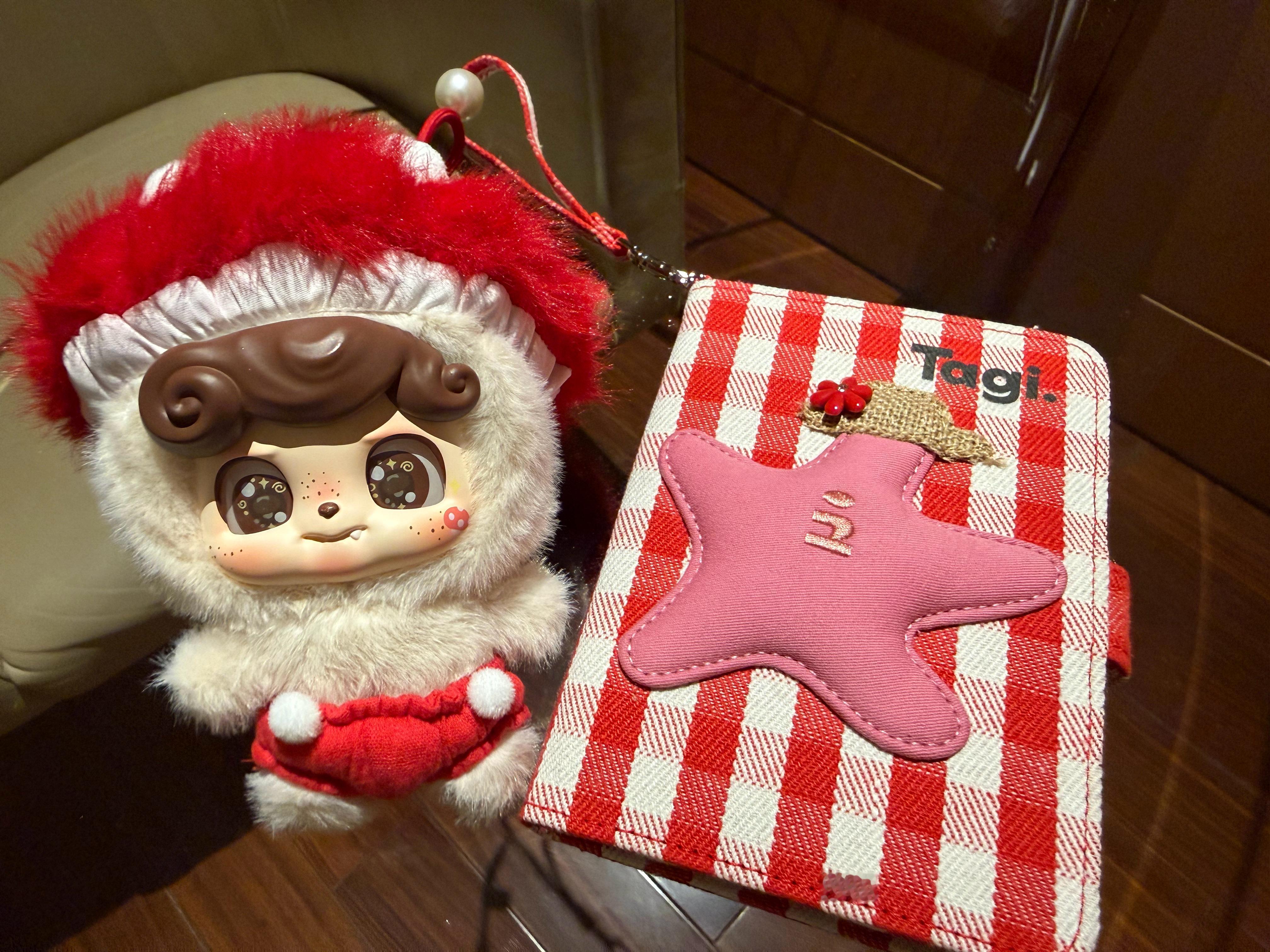 真的很喜欢这个Tagi的护照包，太实用啦蕾蕾的日记