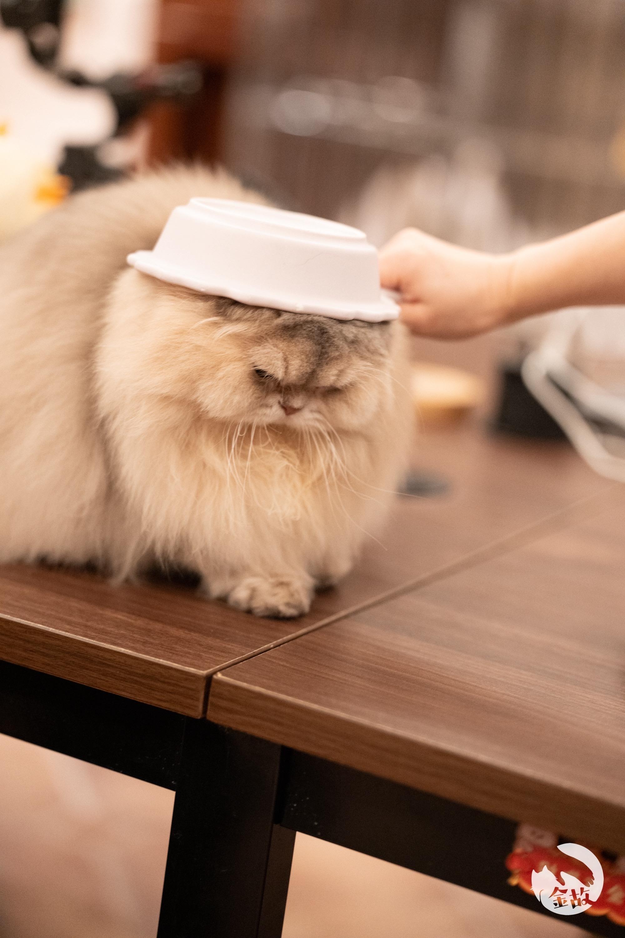 往这一站就是兵～