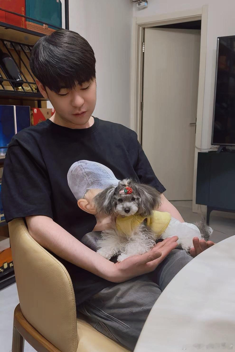 狗子你下来让让我呗 