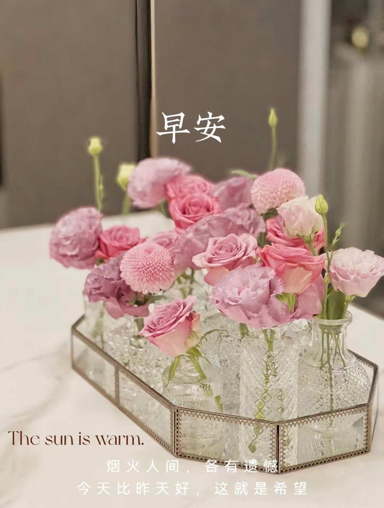 早安 崭新的晨光如约而至，吹散昨日的琐碎纷扰。新的一天放平心态，不被外界嘈杂的言