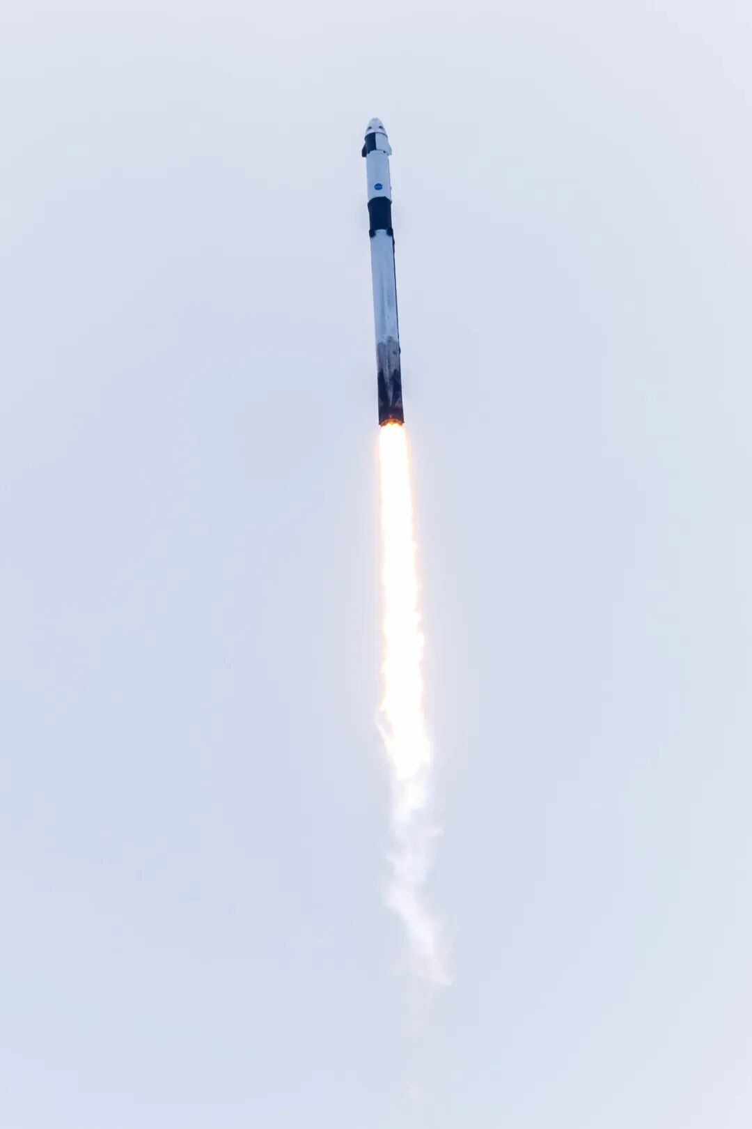 发射成功！航天太空探索助力计划 【SpaceX“猎鹰9号”火箭成功发射，搭载Cr