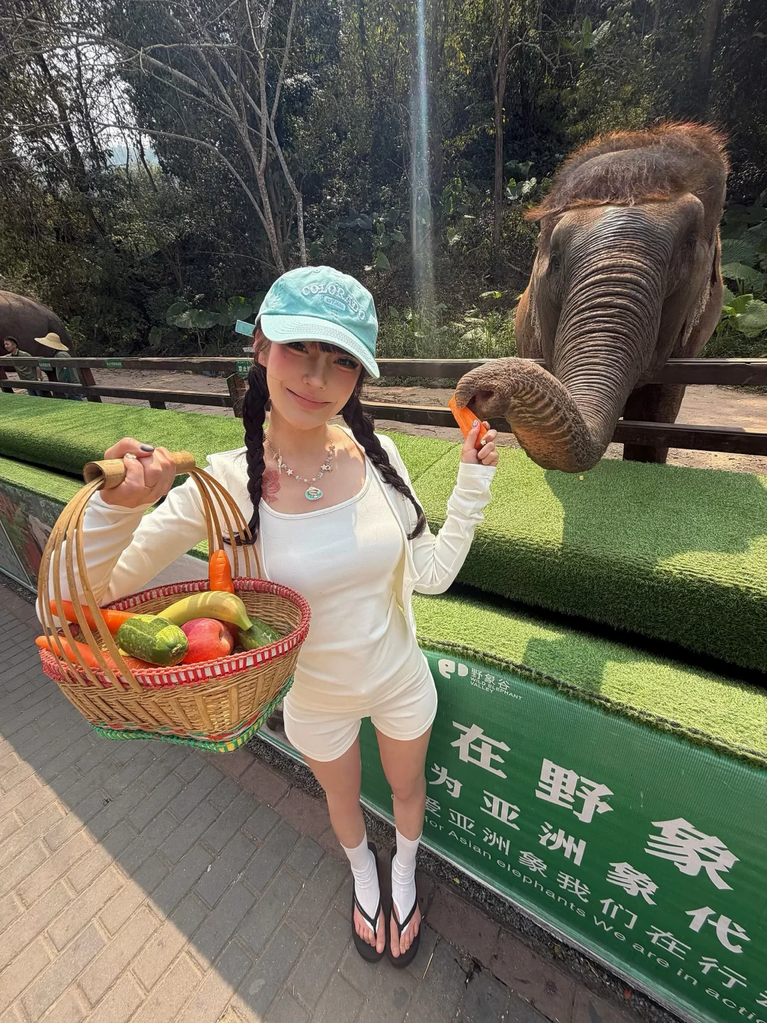 见到齐刘海小象啦🐘🥕