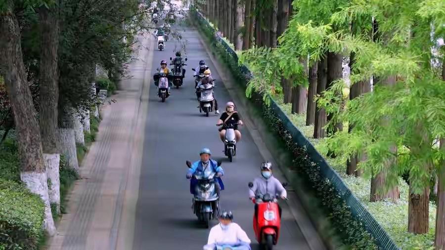 电动自行车新国标热点话题追踪！能否搭载儿童？必须安装金属鞍座？
在城市的繁忙街头