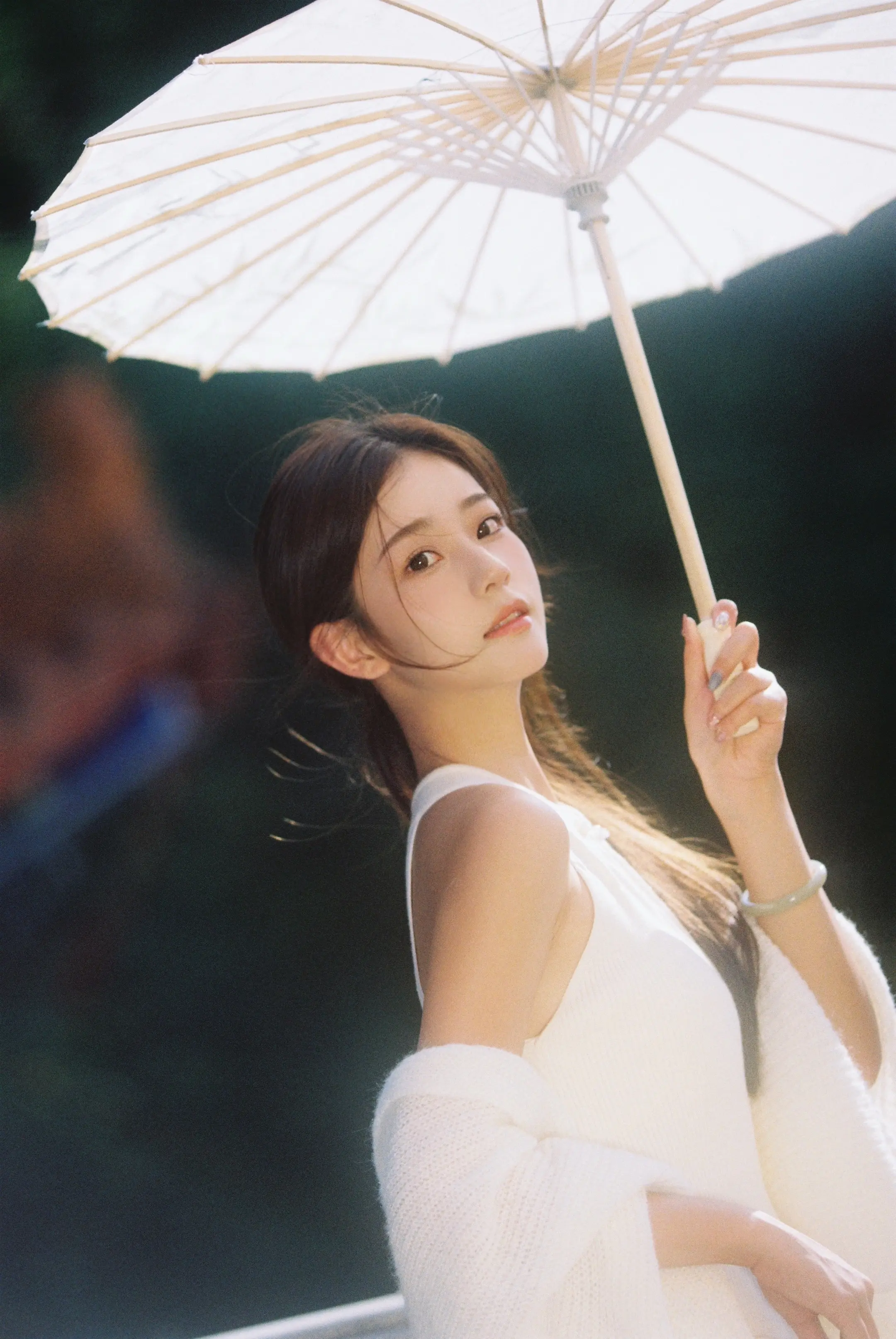 “落花雨不停 湘女总是多情”