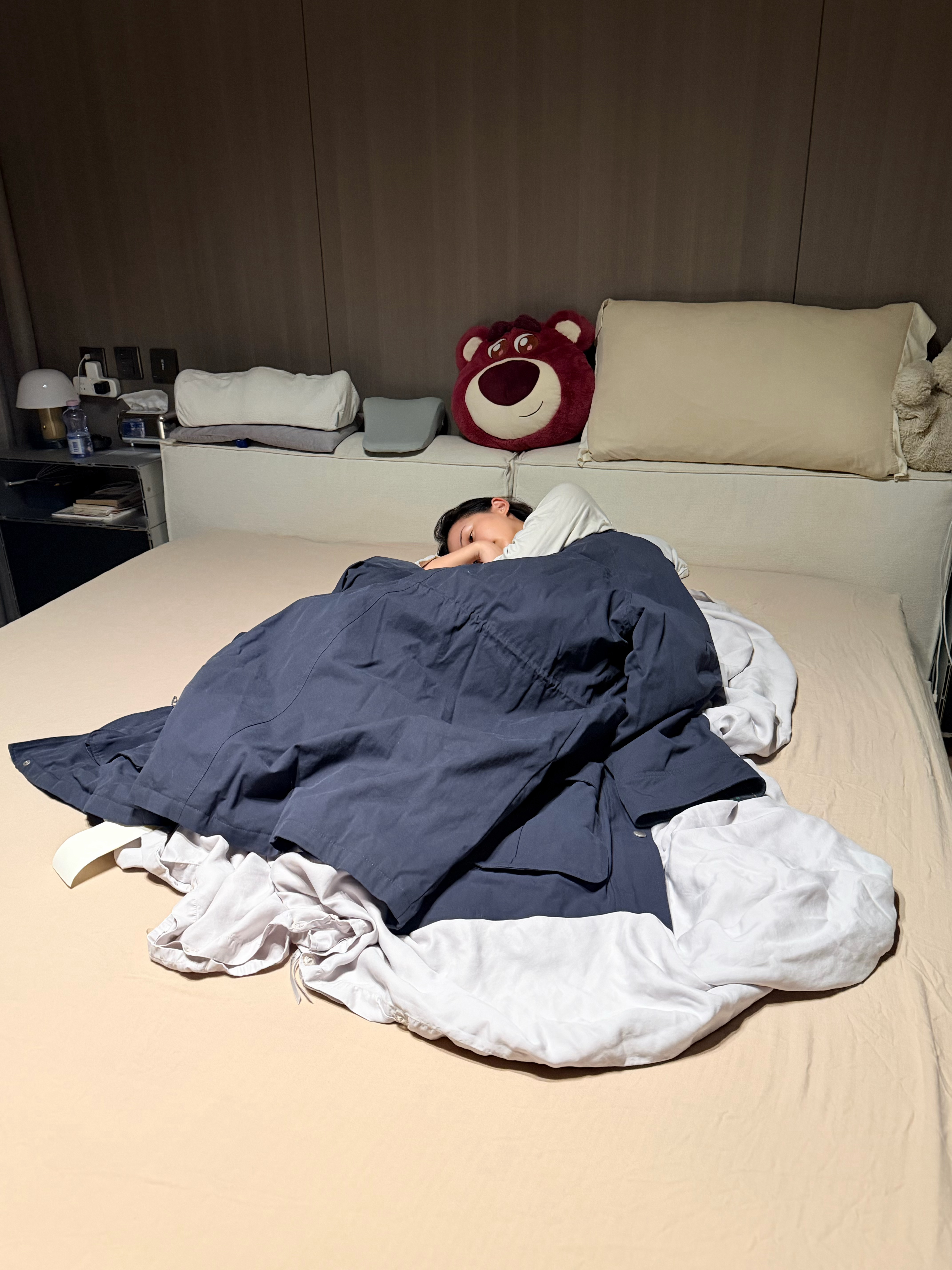 心软把臭咪放进房间一起睡了几天的后果就是又尿了一泡然后发现家里还只有一床被子….