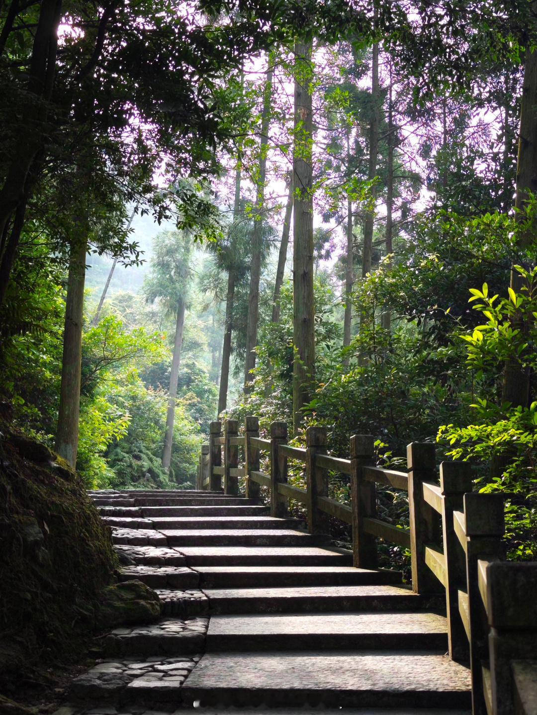 打卡三山五岳之雁荡山，第一站选择大龙湫景区，雁荡山的各个景区由一条主路串联，基本