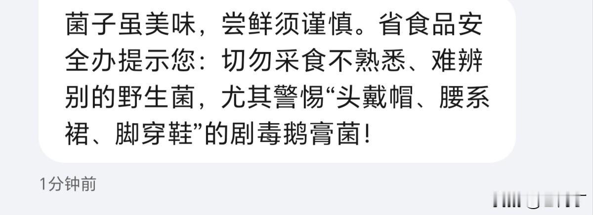 滇夏雨季，菌香漫人间

一场夏雨，唤醒满山的珍味
云南人的快乐，准时上线啦 
