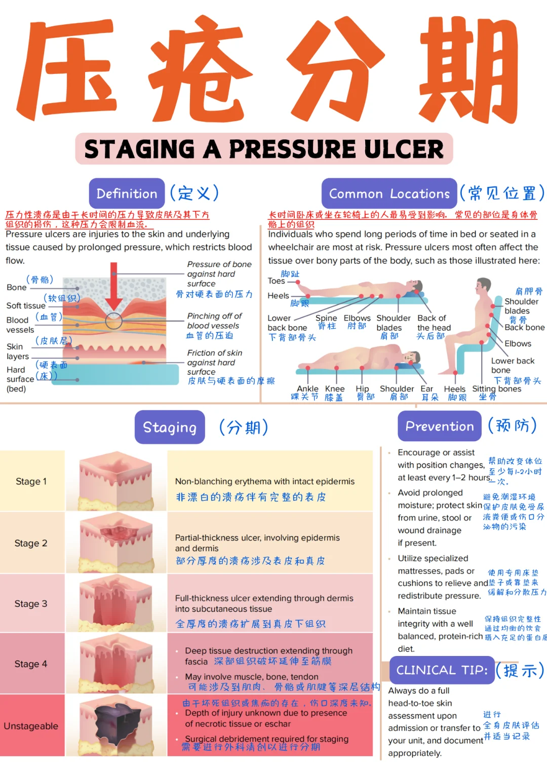 备考RN/压疮分期！！学！！单词