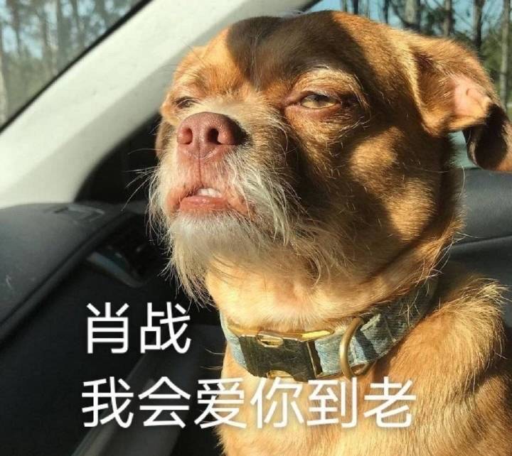 人怎么可以体面到这种程度，纯粹到这种地步，一晚上就憋出这段话，来自7年麻麻粉的内