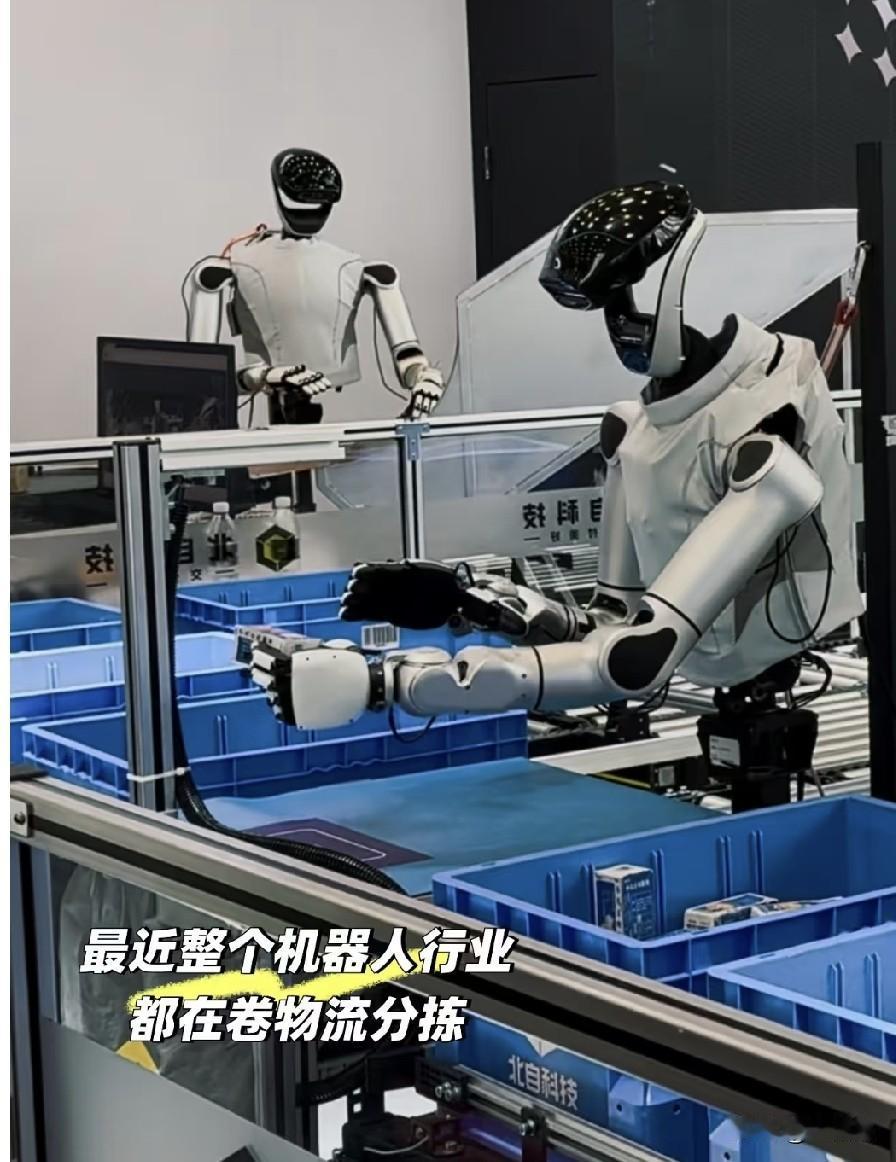 最近米国爆发了对机器人的服务猎杀。那些机器人成为街道边的出气筒，因为机器人夺走了