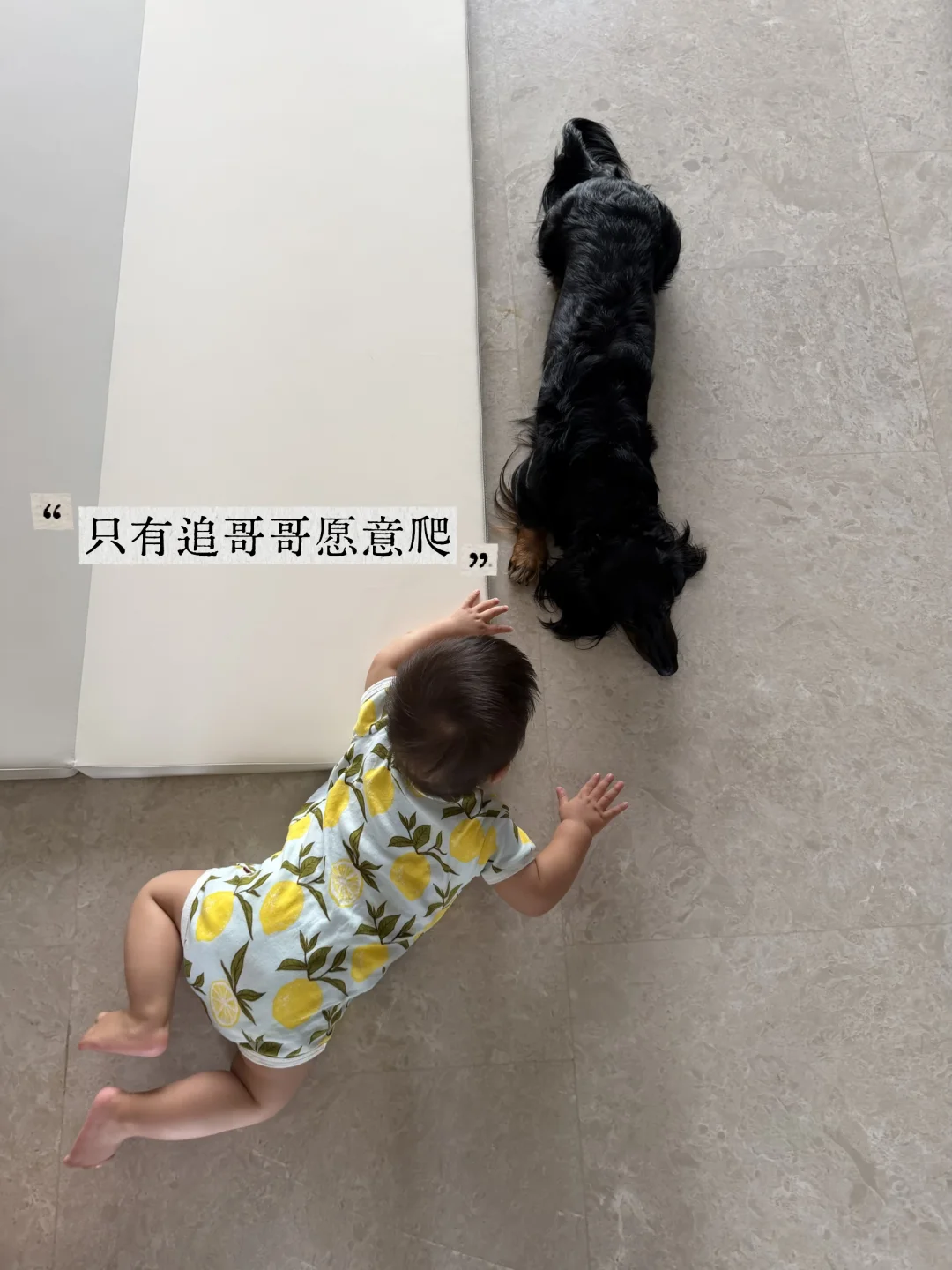 一狗一娃，我最理想的家庭形态