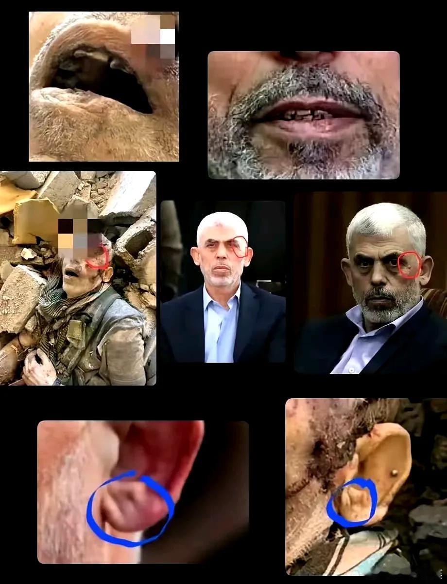 看到个评价：
苏莱曼尼的死是因为懂王不讲武德；
哈尼亚的死是因为德黑兰的安保不力