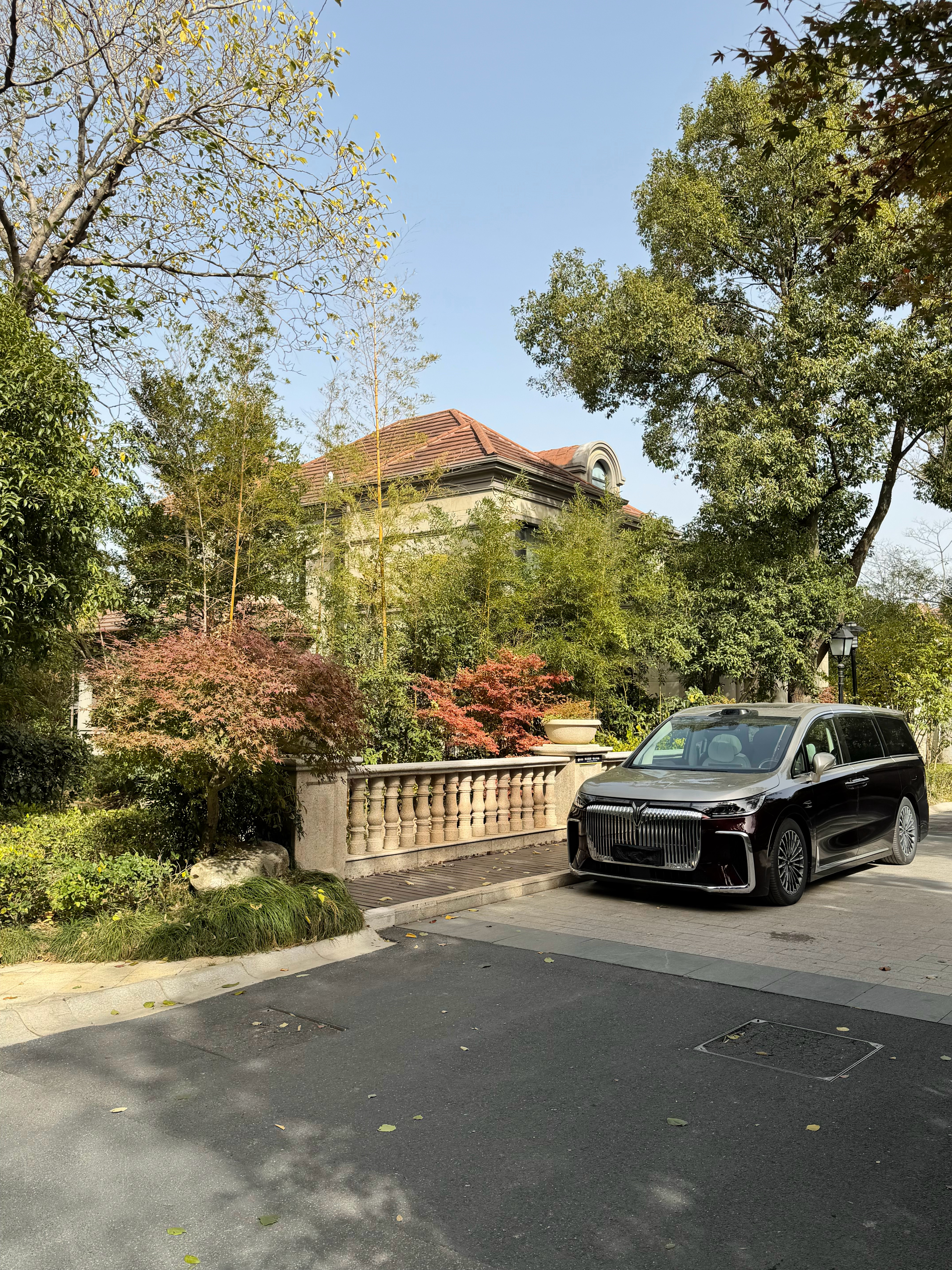 今日拍摄～ 🍂 上海要是天天能出大太阳。我晒黑成ABC也没意见 