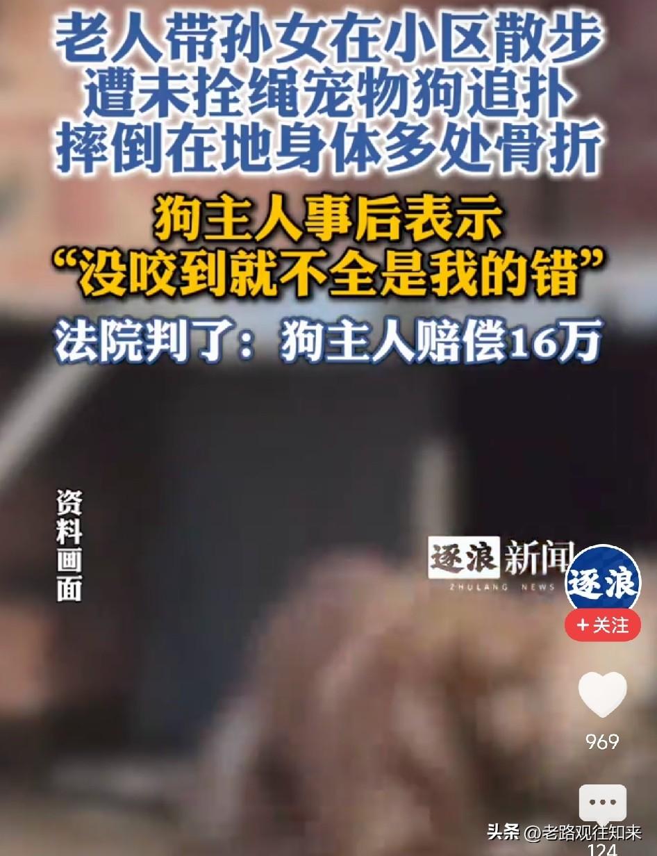 太意外了！宁夏，老人带孙女在小区散步，一只未拴绳的狗突然蹿出来扑向孩子，老人躲闪